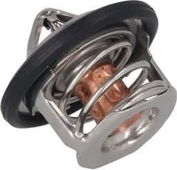 Thermostat, coolant 7710145