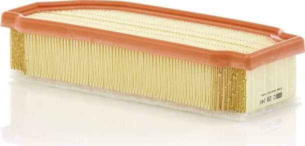 Air Filter C29041
