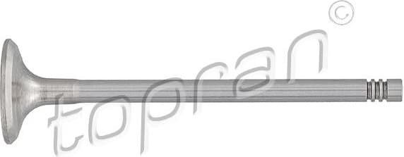 Exhaust Valve 205 157