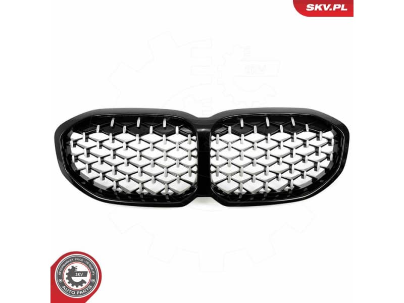 Radiator Grille 66SKV028 - image 2