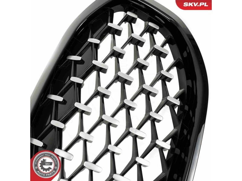 Radiator Grille 66SKV028 - image 6