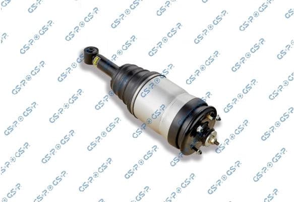 Air Suspension Strut 30900950