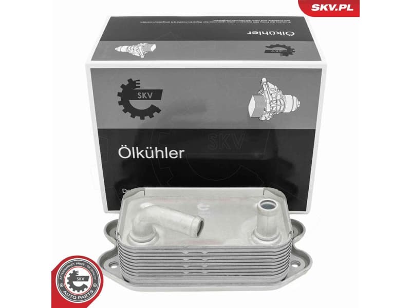 Oil Cooler, engine oil 31SKV300