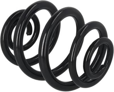 Suspension Spring 2120338 - image 3