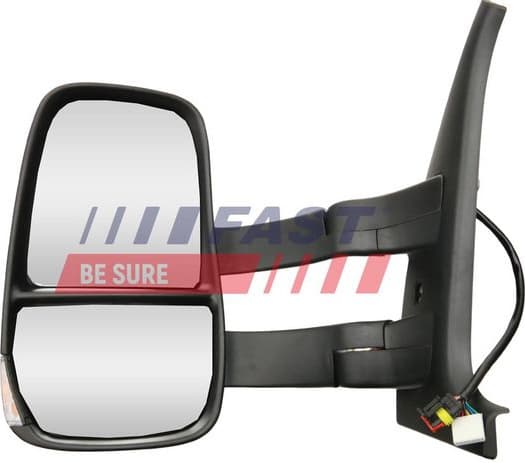Exterior Mirror FT88317