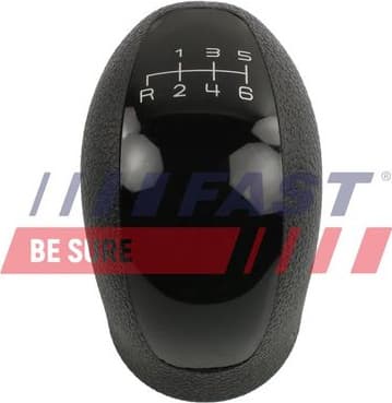 Gear Lever Knob FT73243