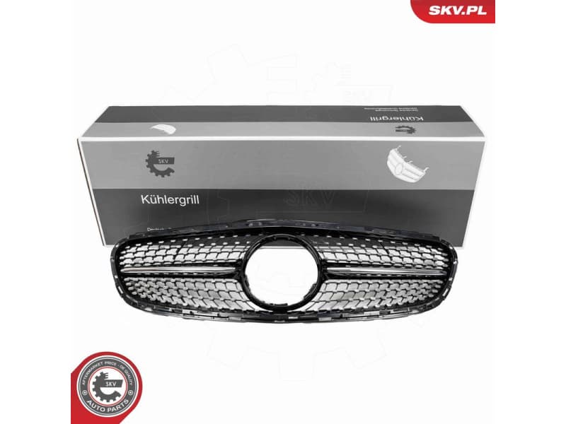 Radiator Grille 66SKV548