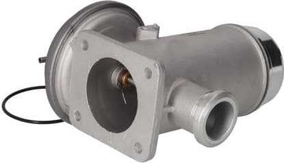 Suspension Spring 2110394