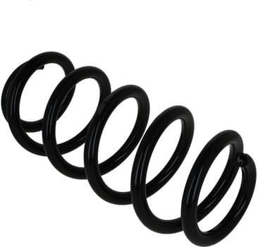 Suspension Spring 2110394 - image 3