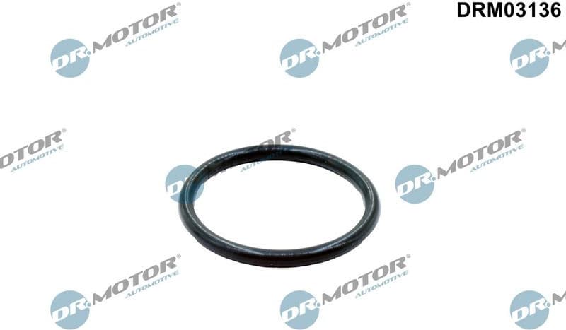 Gasket, coolant pipe DRM03136