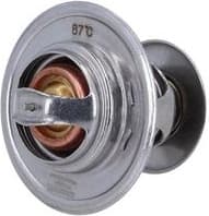 Thermostat, coolant 7710046