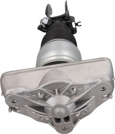 Air Suspension Strut 2070127 - image 2