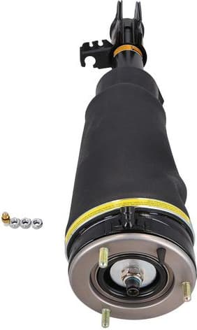 Air Suspension Strut 2070057