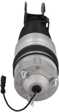 Air Suspension Strut 2070109 - image 2