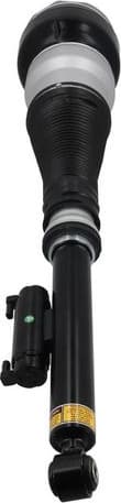Air Suspension Strut 2070122 - image 6