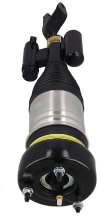 Air Suspension Strut 2070064 - image 4