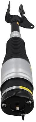 Air Suspension Strut 2070060 - image 3
