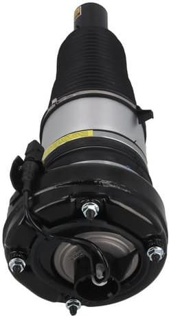 Air Suspension Strut 2070071