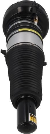 Air Suspension Strut 2070071 - image 3