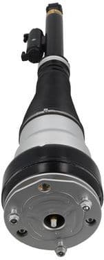 Air Suspension Strut 2070071 - image 4