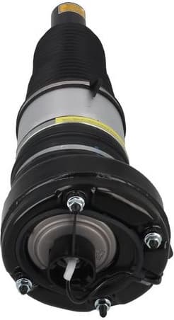 Air Suspension Strut 2070086 - image 2