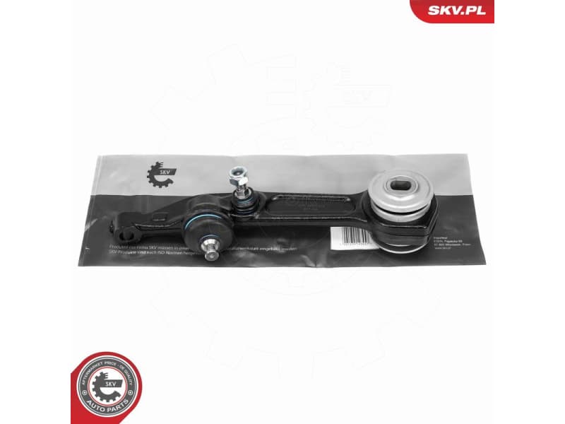 Control/Trailing Arm, wheel suspension 69SKV329