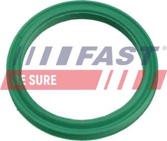Seal Ring, charge air hose FT48962