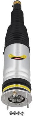 Air Suspension Strut 2070035