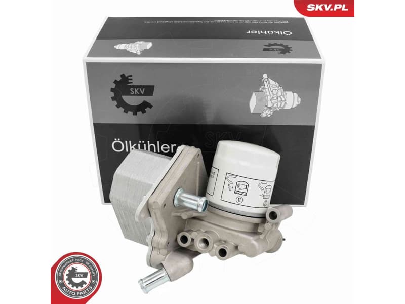 Oil Cooler, engine oil 31SKV338