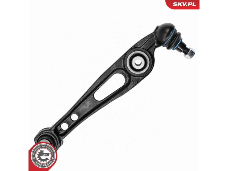 Control/Trailing Arm, wheel suspension 69SKV397