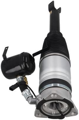 Air Suspension Strut 2070069