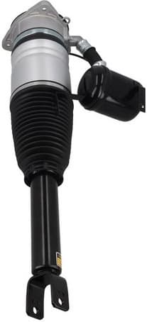 Air Suspension Strut 2070069 - image 2