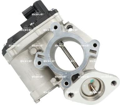 EGR Valve EASY FIT 48663