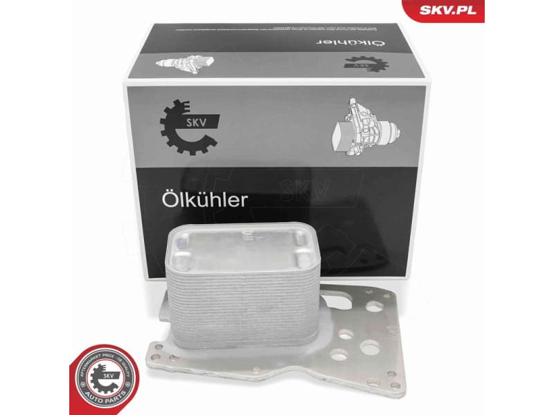 Oil Cooler, engine oil 31SKV378