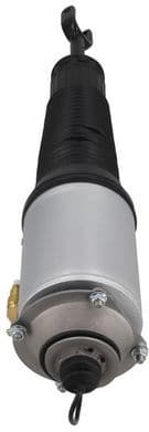 Air Suspension Strut 2070042 - image 2