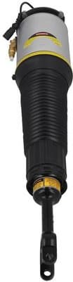 Air Suspension Strut 2070042 - image 4