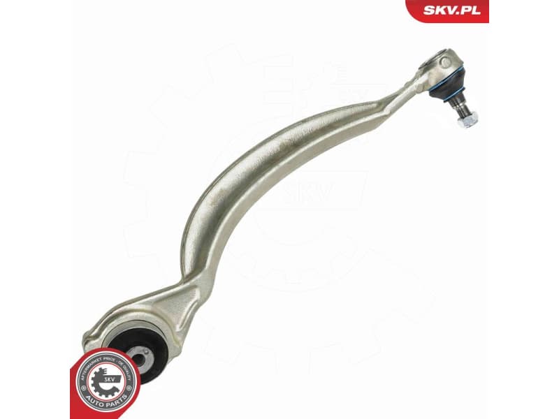 Control/Trailing Arm, wheel suspension 69SKV335