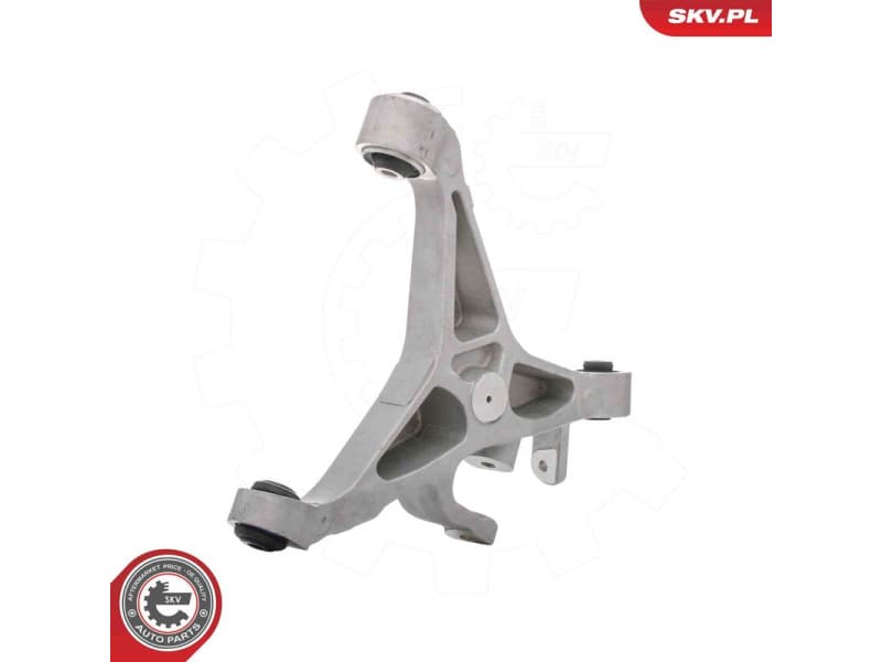 Control/Trailing Arm, wheel suspension 69SKV417