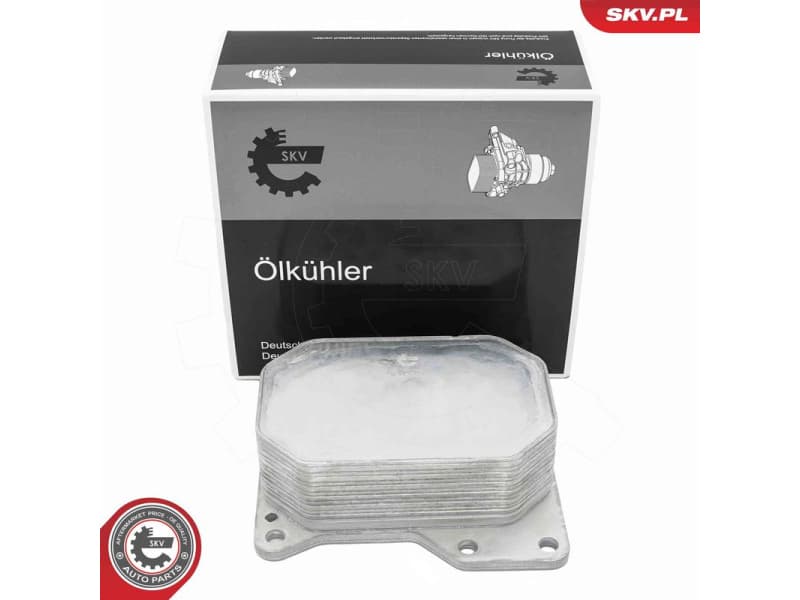 Oil Cooler, engine oil 31SKV383