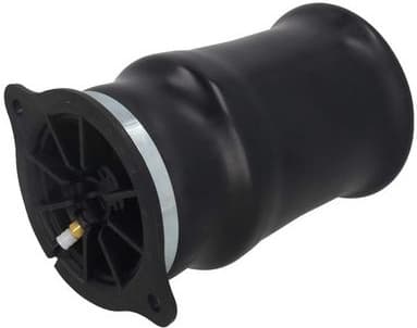 Air Spring, suspension 2079078