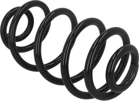 Suspension Spring 2120555 - image 3