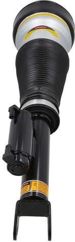 Air Suspension Strut 2070072 - image 4