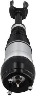 Air Suspension Strut 2070106