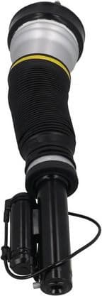 Air Suspension Strut 2070089 - image 4