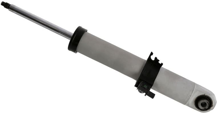 Shock Absorber CDC 319 239