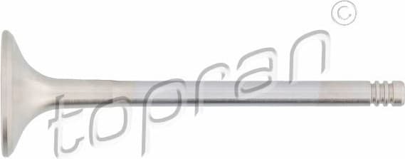 Exhaust Valve 201 250