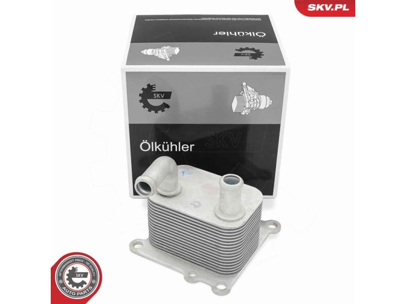 Oil Cooler, engine oil 31SKV358