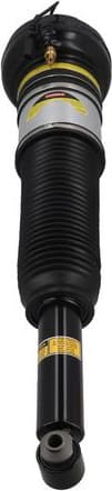 Air Suspension Strut 2070096