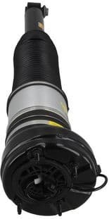 Air Suspension Strut 2070096 - image 3