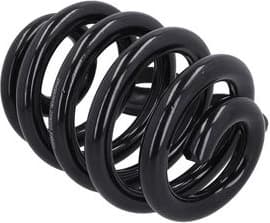 Suspension Spring 2120662 - image 3